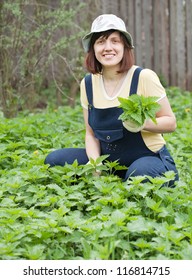 Woman Gathers Nettle At Spring Garden