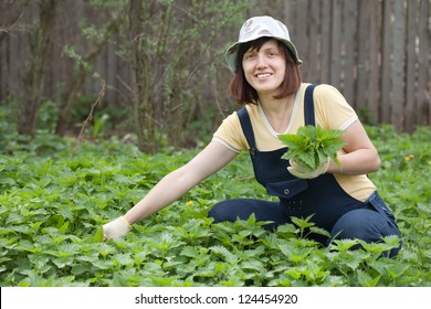 Woman Gathers Nettle At Spring Garden