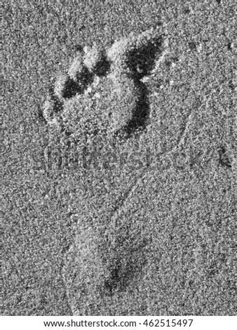 Woman gentle single footprint in wet beach sand. Black and white photo