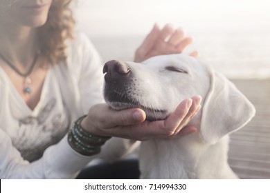 woman gently caresses her dog - Powered by Shutterstock