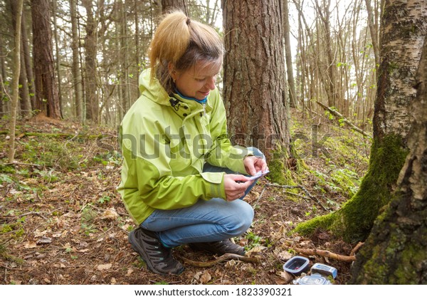 A woman geocaching. Women in woods find geocache\
container near tree