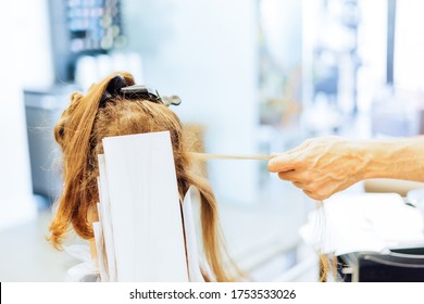 Woman Getting Highlights , Hand Pulling A Strand Of Hair At The Hairdresser