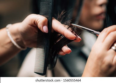 Woman Getting A New Haircut. Female Hairstylist Cutting Her Long Black Hair With Scissors In Hair Salon