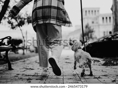 Similar – Image, Stock Photo three legs Footwear Bag