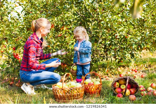 Woman Girl Orchard Stock Photo (Edit Now) 1219826341