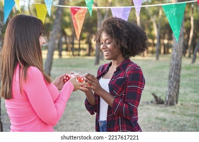 Woman Giving A Gift To Her Friend While Having A Party Outdoors In A Park. Friendship Concept.