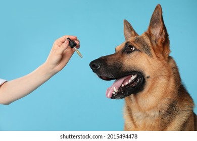 Woman giving tincture to German Shepherd dog on turquoise background, closeup
