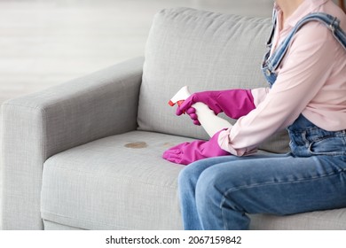 Woman In Gloves Cleaning Dirty Stain On Sofa At Home