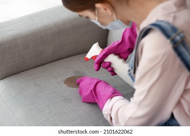 Woman In Gloves Cleaning Dirty Stain On Sofa At Home