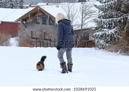 A woman goes for a walk with her Norwegian Forest Cat in winter. Walk with cat
