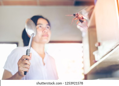 Flying cockroach Images, Stock Photos & Vectors | Shutterstock