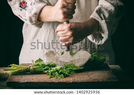 Similar – Foto Bild Frau schneidet grüne Blätter von frischem Sauerampfer.