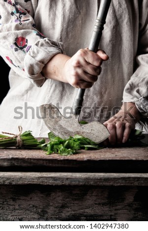 Similar – Foto Bild Frau schneidet grüne Blätter von frischem Sauerampfer.