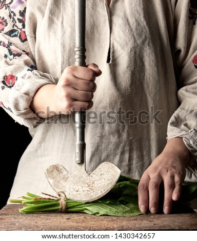 Similar – Foto Bild Frau schneidet grüne Blätter von frischem Sauerampfer.