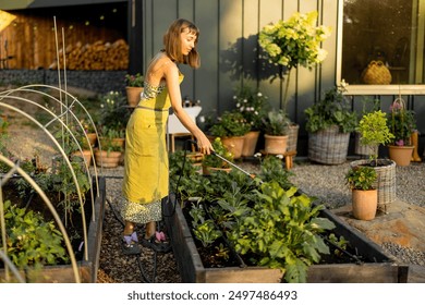 A woman in a green apron sprays plants in raised garden beds with organic pesticide or biofertilizer. Emphasizing home growing, sustainability, and natural plant protection - Powered by Shutterstock