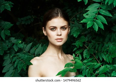 Woman Green Foliage Tree Plant Stock Photo 1479496562 | Shutterstock