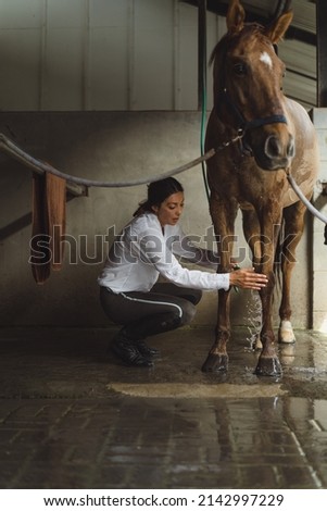 Woman groomer washes a horse's hooves after class at the hippodrome. A woman takes care of a horse, washes the horse after training.