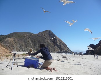 Woman Guarding Picnic Food From Seagulls Flying Around Overhead At Pfeiffer Beach Near Big Sur, California