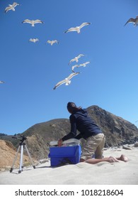 Woman Guarding Picnic Food From Seagulls Flying Around Overhead At Pfeiffer Beach Near Big Sur, California