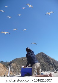 Woman Guarding Picnic Food From Seagulls Flying Around Overhead At Pfeiffer Beach Near Big Sur, California