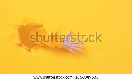 Woman hand arm showing five fingers ordinal count 5 greet gesture isolated through torn yellow background studio. Copy space advertisement place for text or image Advertising area workspace mock up