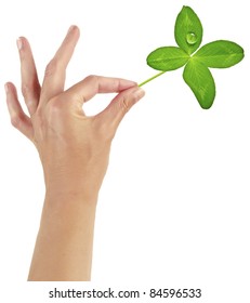 Woman Hand With Four Leaf Clover