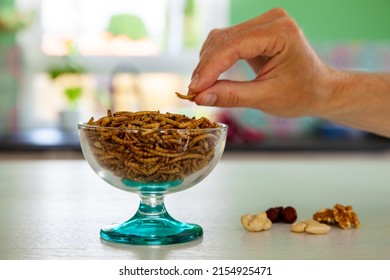 Woman hand is grabbing Snack insects. Mealworm larvae as food and variation of nuts. Mealworms crustaceans tenebrio molitor, freeze-dried for snacking. Roasted Fried worms. Animal Snack concept