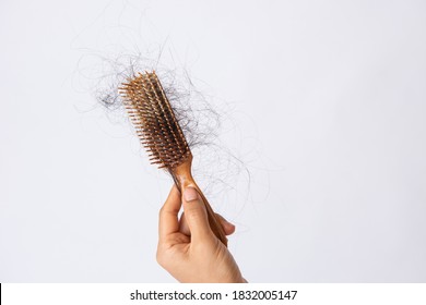 Woman Hand Hoding Hairs Fall In Comb, Hair Fall Everyday Serious Problem. Girl Hairs Fall With A Comb And Problem Hair Isolated On White Background