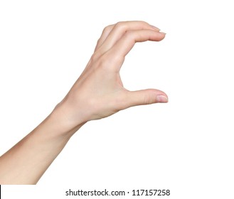 Woman hand hold card, credit, blank paper or other isolated on white background. Female hand showing empty space for your choice