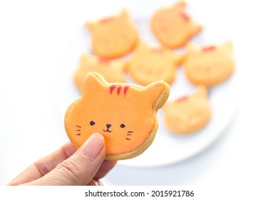 Woman Hand Hold Orange Cat Royal Icing Cookies