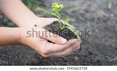 Similar – Image, Stock Photo Dirty boy hands holding small young herbal sprout plant