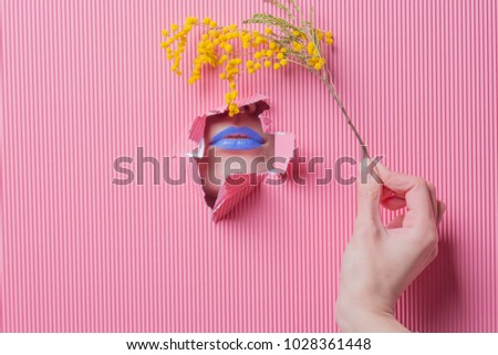Woman hand hold yellow mimosa flower on pink paper background, lips with blue lipstick showing through paper tear. minimal festive spring flower concept. Punchy pastel flowers 