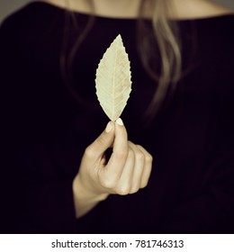 Woman Hand Holding Autumn Leaf, Melancolic Sensual Studio Shot With Black Background