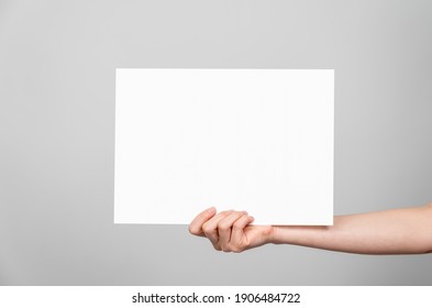 Woman Hand Holding Blank Paper Label And Mockup For Design Advertising On Gray Background.