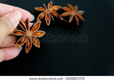 Woman hand holding a chinese star anise on black background