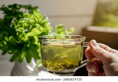 Woman hand holding and drinking Alchemilla vulgaris, common lady's mantle medicinal herbal tea in clear cup. Fresh lady's mantle plants in vase, tea in glass and dried tea powder. - Powered by Shutterstock