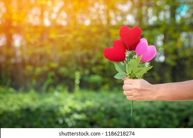 Woman Hand Holding A Flower Of Heart On Sunlight In The Public Park For Give Woman Hand Holding A Flower Of Heart On Sunlight In The Public Park For Give