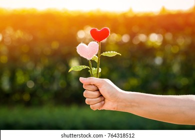 Woman Hand Holding A Flower Of Heart On Sunlight In The Public Park, For Give Supporting When People Get Who Lack Of Desire With Love Concept.