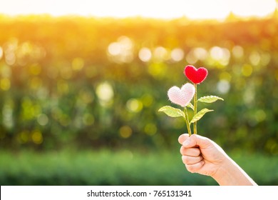 Woman Hand Holding A Flower Of Heart On Sunlight In The Public Park, For Give Supporting When People Get Who Lack Of Desire With Love Concept.