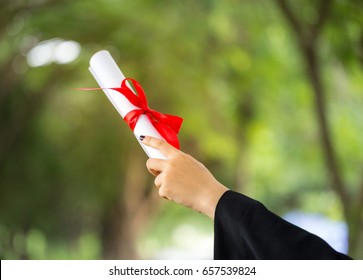 Woman Hand Holding Graduation Certificate Graduation Stock Photo ...