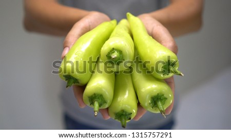 Woman hand holding Green Chili.