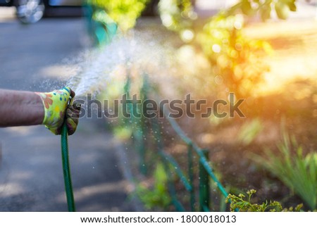 Woman hand holding a hose and watering a flowerbed with plants and flowers in the garden