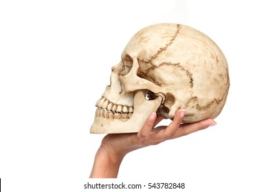 Woman Hand Holding Human Skull