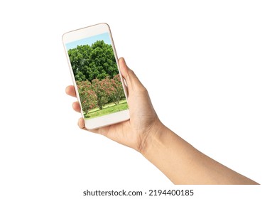 Woman Hand Holding Mobile Phone To 
Travel Landscape Photography Isolated On White Background.