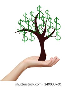 Woman Hand Holding Money Tree With Dollars Sign Isolated On White Background