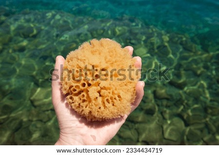 Woman hand holding and showing natural organic sea sponge bath sponge against blue sea water background.
