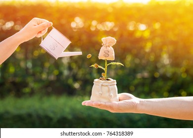 Woman Hand Holding A Tank Of Coin Watering To A Tree Of Money Bag On Hand Of Man In The Public Park, Saving Money And Loan For Asset Management For Investment Concept.