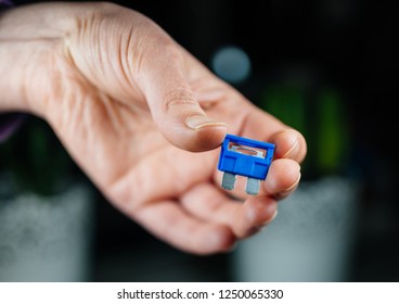 Woman Hand Holding Tiny Blue Amp Rated Car Fuses Before Inserting Them Fuse Box Closeup Shot