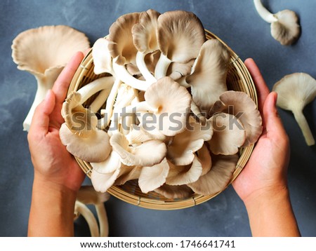 Woman hand holds a basket of lung oyster mushrooms.
