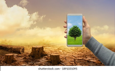 Woman hand holds modern green tree screen smartphone on dead stump tree and cracked land. Saving environment and natural conservation concept. - Powered by Shutterstock